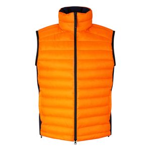 34187215-374.jpg 34187215-374.jpg