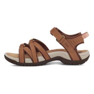 T4177-HYBR-3.jpg T4177-HYBR-3.jpg