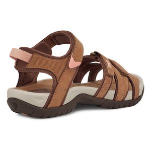 T4177-HYBR-4.jpg T4177-HYBR-4.jpg