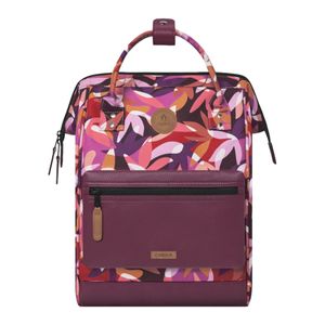 montreuil3-clipped-rev-1.jpeg montreuil3-clipped-rev-1.jpeg