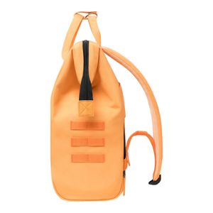 omism6-clipped-rev-1.jpeg omism6-clipped-rev-1.jpeg