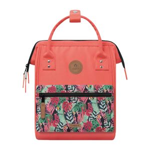 himares3-clipped-rev-1.jpeg himares3-clipped-rev-1.jpeg