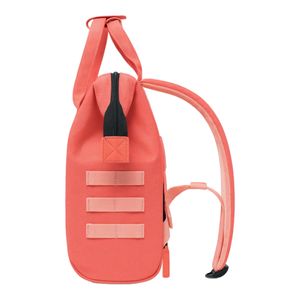 himares4-clipped-rev-1.jpeg himares4-clipped-rev-1.jpeg