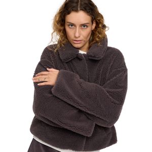 25331478-eggplant-05-clipped-rev-1.jpeg 25331478-eggplant-05-clipped-rev-1.jpeg