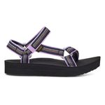 lupine/black