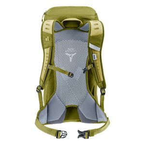 3420624-1206-ACLite16-linden-cactus-D-01.jpg 3420624-1206-ACLite16-linden-cactus-D-01.jpg