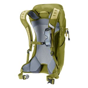 3420624-1206-ACLite16-linden-cactus-D-08.jpg 3420624-1206-ACLite16-linden-cactus-D-08.jpg