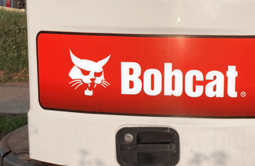 Bobcat
