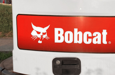 Bobcat