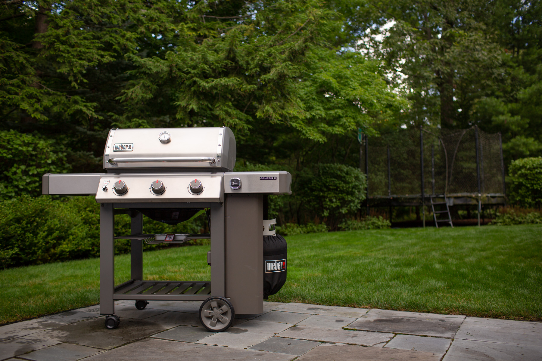 Weber Genesis Ii S 310 Gbs Gasgrill Edelstahl Limited Edition 2021 Meingartencenter24 De Garten Online Shop Weber Grill