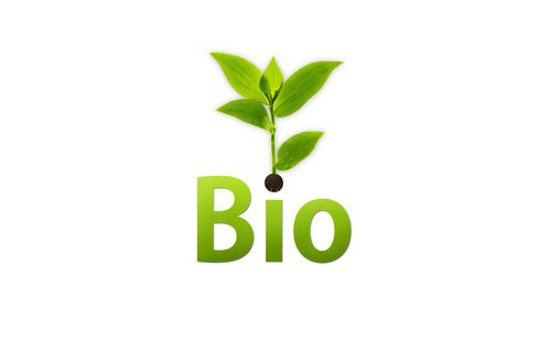 Bio