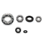 Motorgeh-use-Lager-und- 