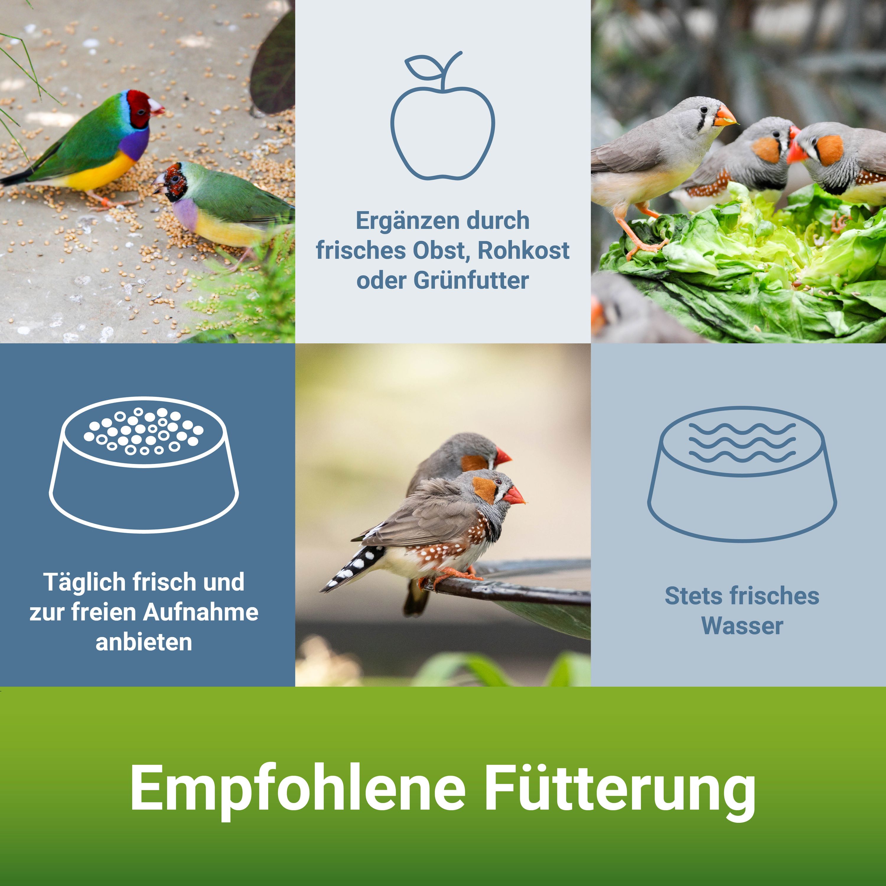 PANTO® Exotenfutter mit Pluramin® · Für Exoten & Ziervögel · 12,5 Kg PANTO® Exotenfutter mit Pluramin® · Für Exoten & Ziervögel · 12,5 Kg