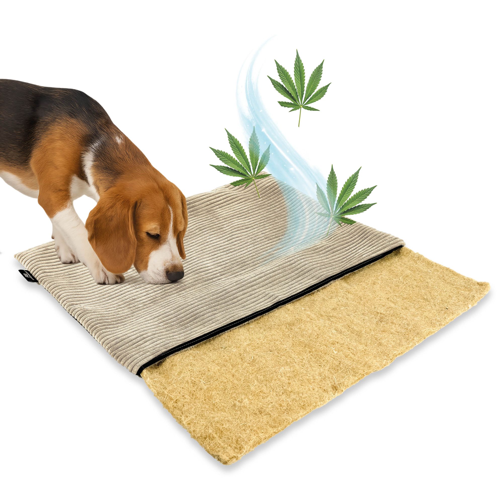 mmmi Hundebett HANF - geruchsbindend | Allergikerfreundlich | Hundekissen  Cord-Bezug waschbar bei 60 | Hundematte eckig rutschfest | Hundedecke  TOP-Qualitt, Hundematratze made in Germany | animal-design