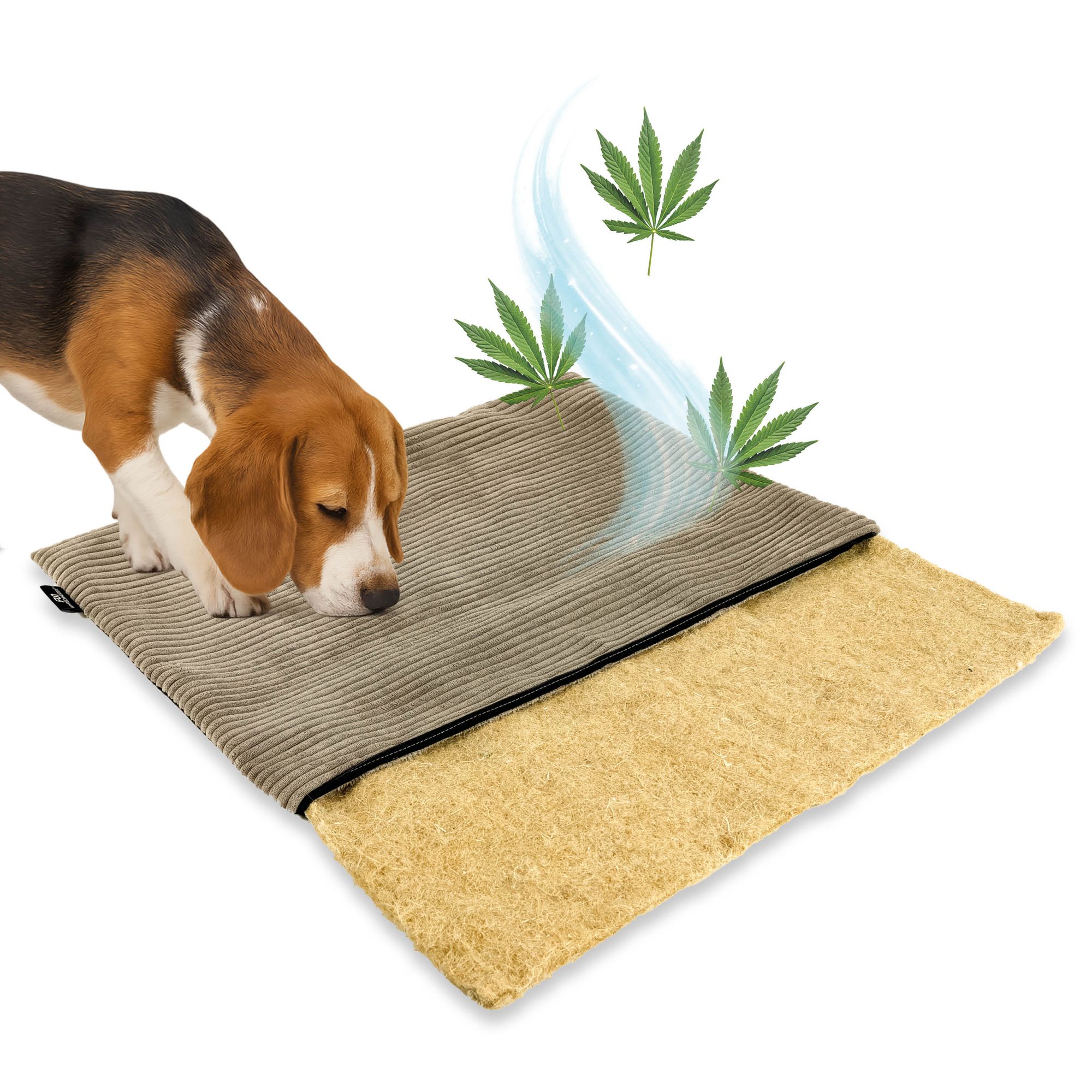mmmi Hundebett HANF - geruchsbindend | Allergikerfreundlich | Hundekissen  Cord-Bezug waschbar bei 60 | Hundematte eckig rutschfest | Hundedecke  TOP-Qualitt, Hundematratze made in Germany | animal-design