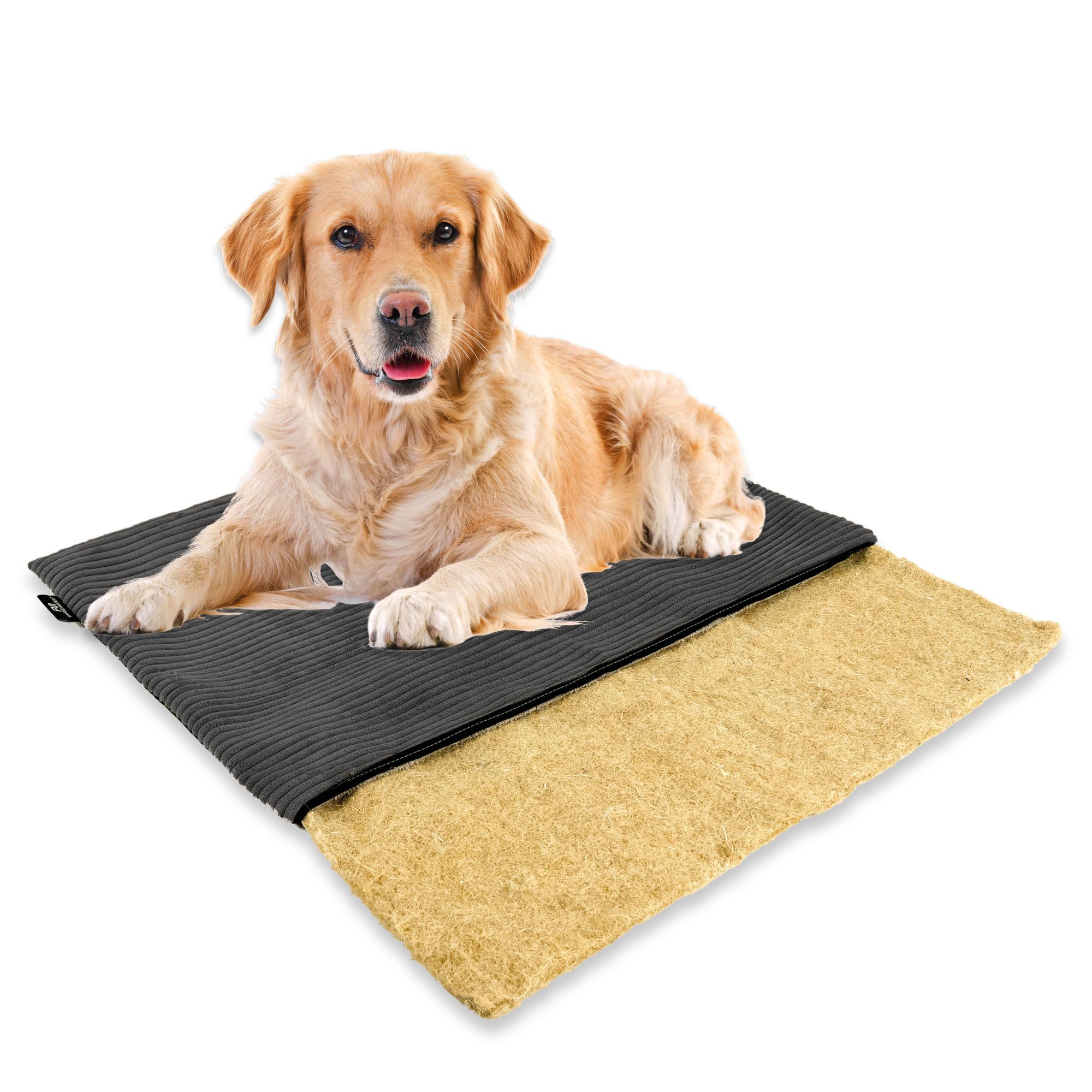 kuschelige hundebetten Das kuschelige Hundebett „Biscuit“ - oliv main image 0