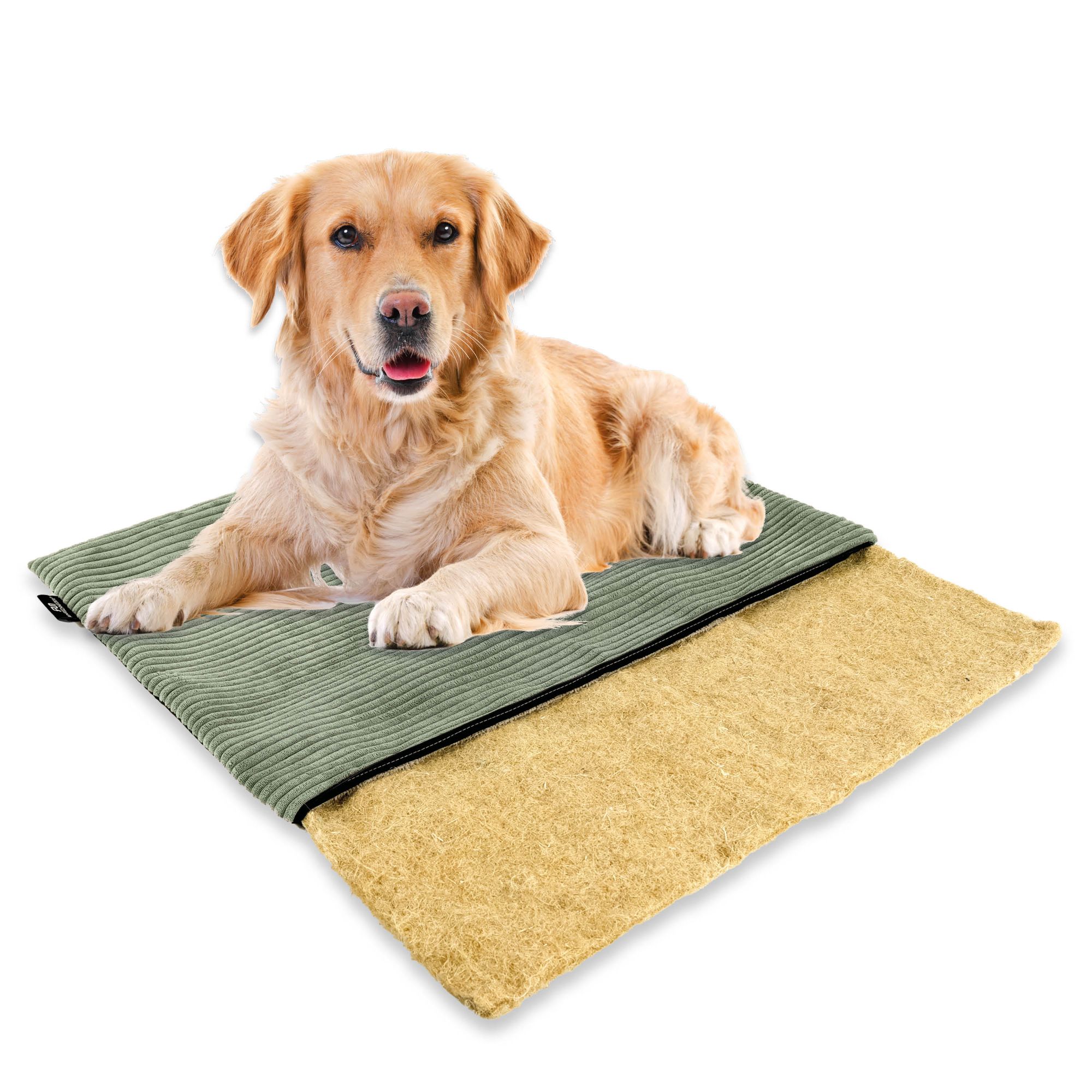 mmmi Hundebett HANF - geruchsbindend | Allergikerfreundlich | Hundekissen  Cord-Bezug waschbar bei 60 | Hundematte eckig rutschfest | Hundedecke  TOP-Qualitt, Hundematratze made in Germany | animal-design