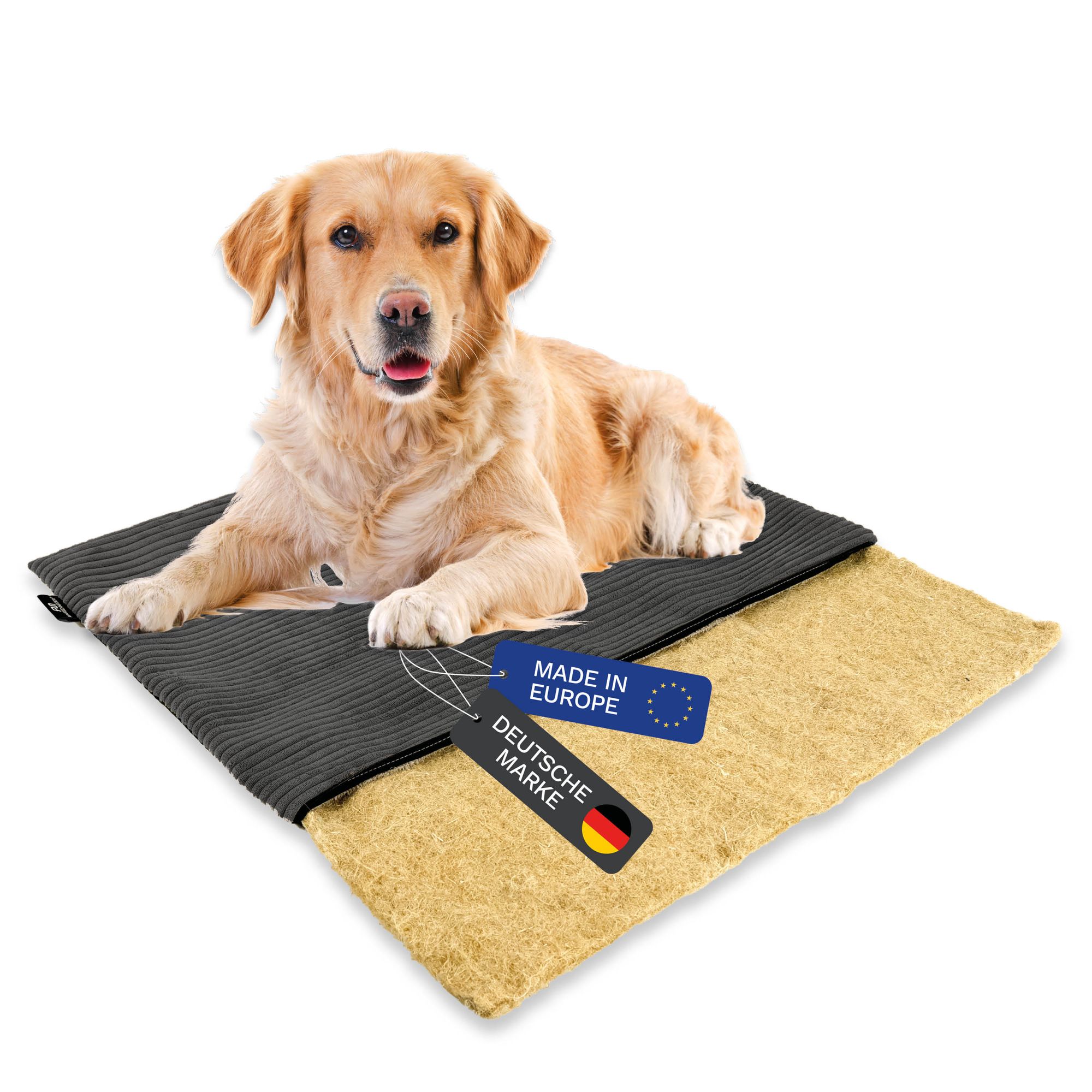 mmmi Hundebett HANF - geruchsbindend | Allergikerfreundlich | Hundekissen  Cord-Bezug waschbar bei 60 | Hundematte eckig rutschfest | Hundedecke  TOP-Qualitt, Hundematratze made in Germany | animal-design