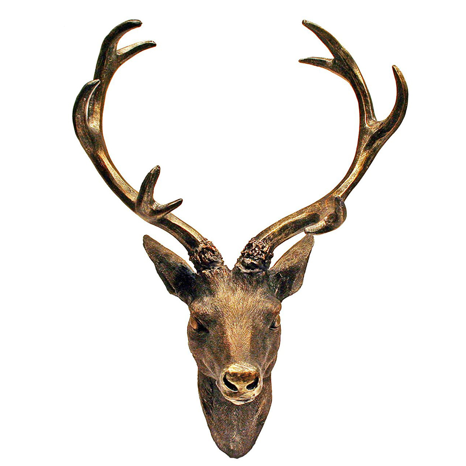 Wall Decoration Stag Antler Deer Head Antler 10 Ender Vers. Colours ...