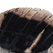 Schale / Seifenschale aus fossilem Holz 12x10x5 cm Gr. S poliert kaufen 6