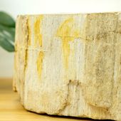 Waschbecken fossiles Holz Abstrakt ca. 45 cm mit Bildergalerie kaufen 4