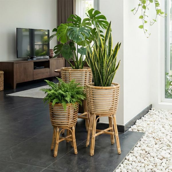 Pflanzenständer Übertopf aus Rattan in verschiedenen Größen wohnfreuden