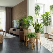 Pflanzenständer Übertopf aus Rattan in verschiedenen Größen wohnfreuden