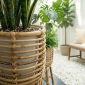 Pflanzenständer Übertopf aus Rattan in verschiedenen Größen wohnfreuden