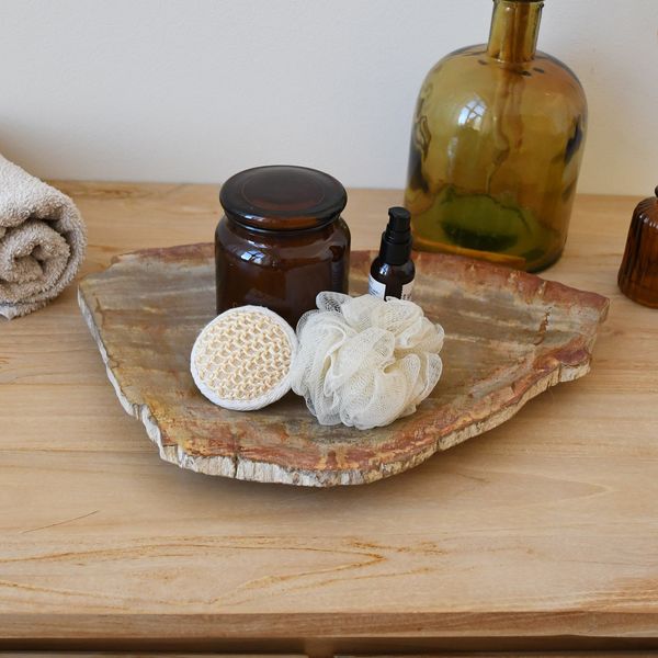 Schale aus fossilem Holz braun 42 x 28 x 4 cm wohnfreuden