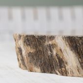 wohnfreuden Tablett aus fossilem Holz ca. 50 cm