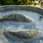 Naturstein Vogeltränke zur Gartengestaltung oval ca 40 cm wohnfreuden