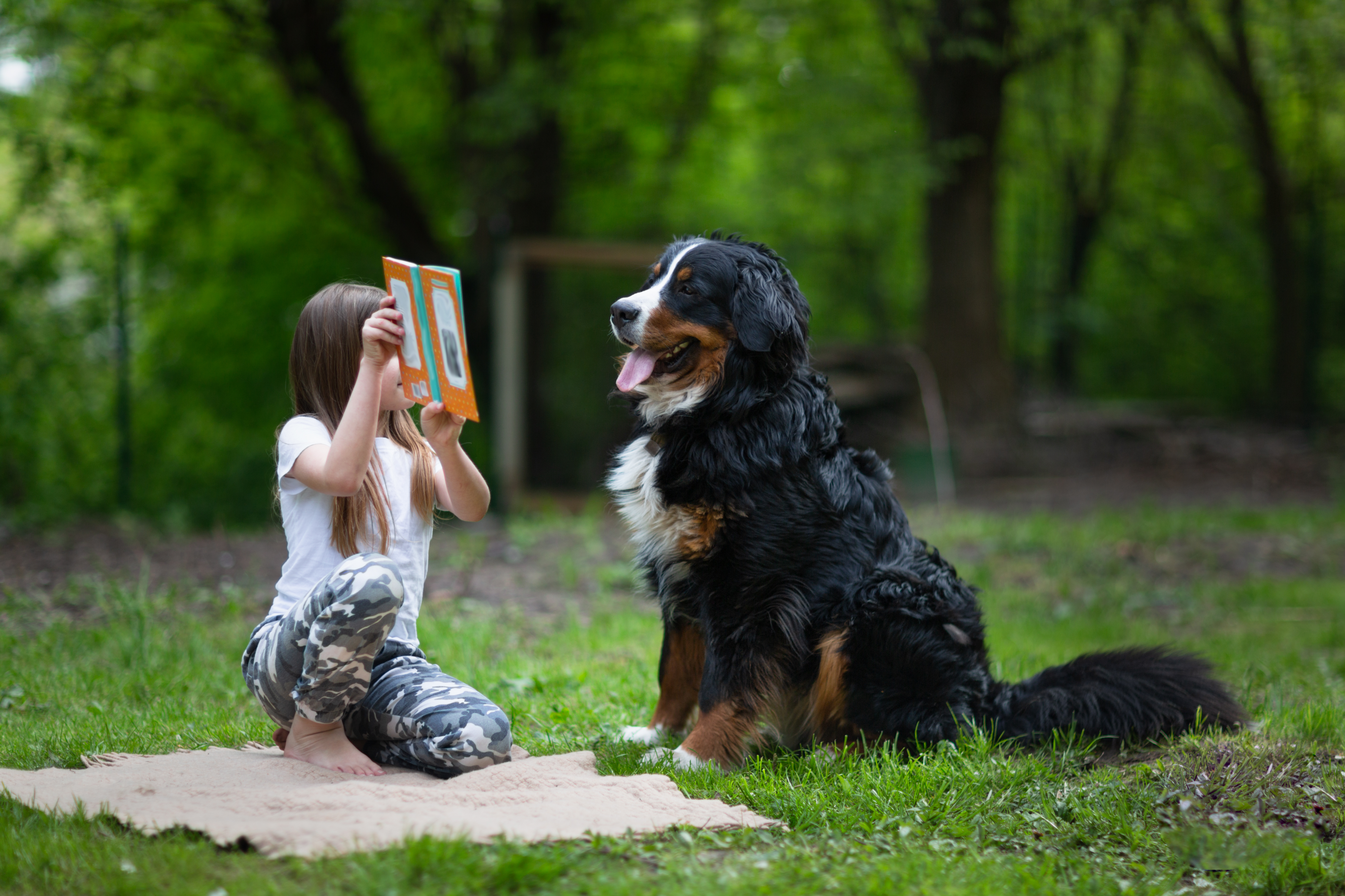 Montessori und tiergestützte Pädagogik