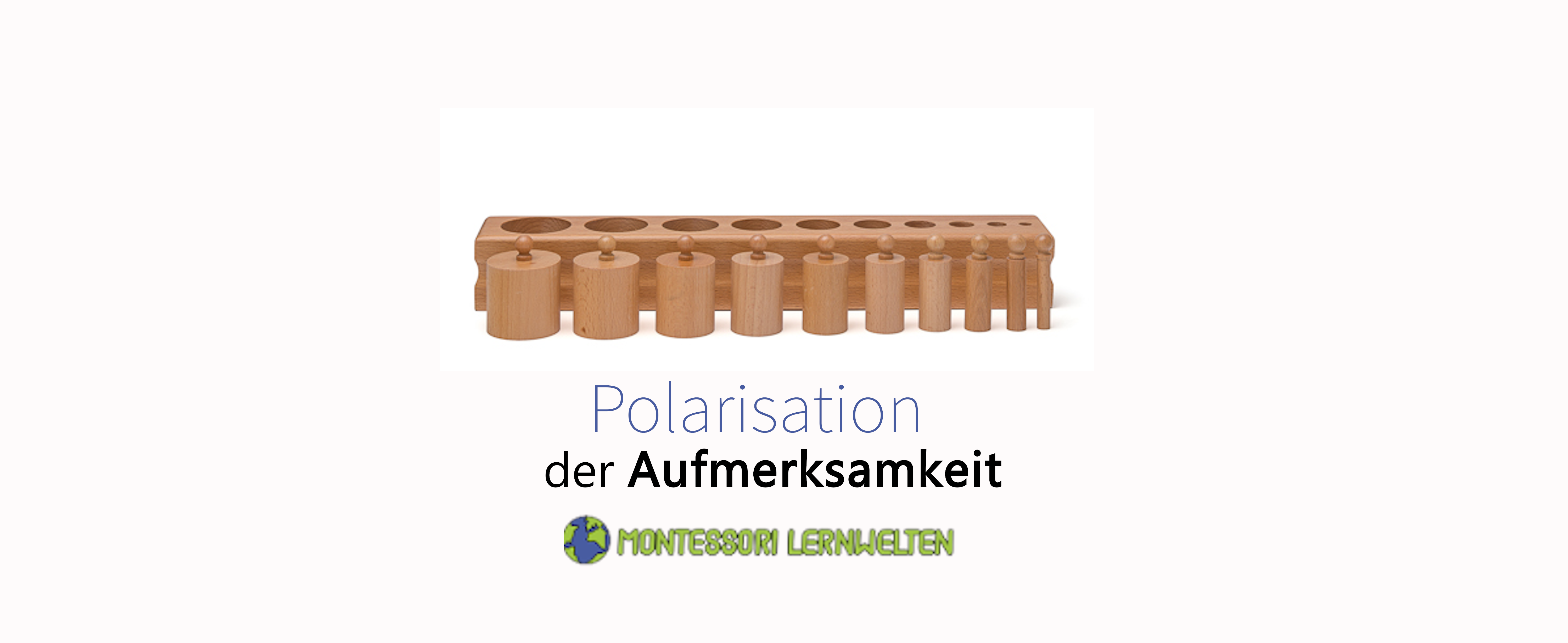 Polarisation der Aufmerksamkeit