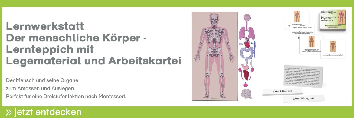 der-menschliche-koerper