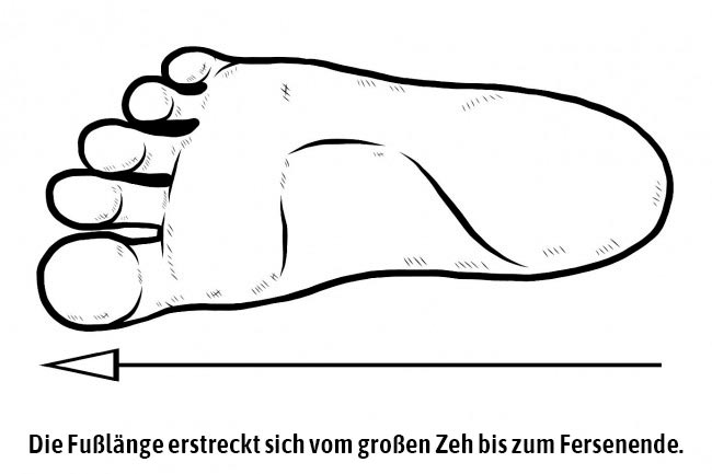 Fußlänge