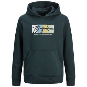 Jack&Jones Hoodie schwarzgrün JORPORTLAND Übergröße