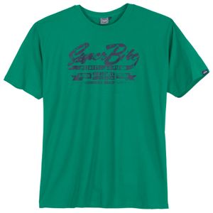 Ahorn Sportswear T-Shirt Frontprint Übergröße grün