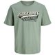 Jack&Jones T-Shirt Übergröße salbeigrün Logoprint
