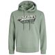 Jack&Jones Übergröße Hoodie salbeigrün JJELOGO Print