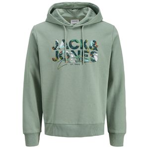 Jack&Jones Übergröße Hoodie salbeigrün JJGEPLAS Print