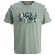 Jack&Jones T-Shirt salbeigrün Übergröße Print JJGEPLAS