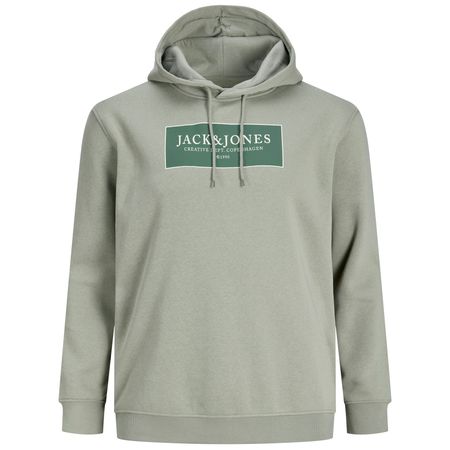 Jack&Jones Übergrößen Hoodie salbeigrün JORGREENE