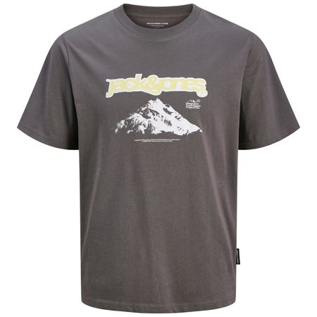 Jack&Jones Übergrößen T-Shirt grau JCOFLARE Print