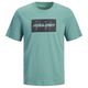 Jack&Jones Übergrößen T-Shirt blaugrün JJCOLE Print