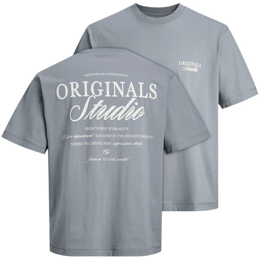 Jack&Jones Übergrößen T-Shirt grau JORNORREBRO Print