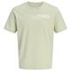 Jack&Jones Übergröße grünbeige T-Shirt JPRBLANEO