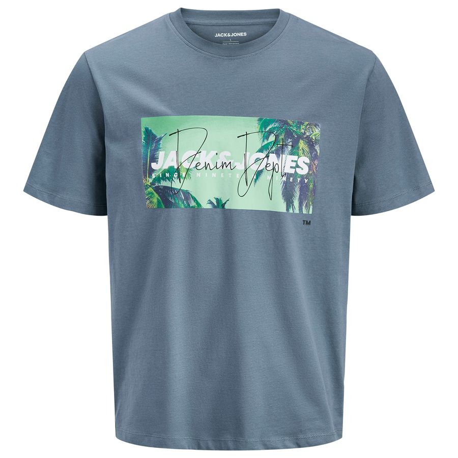 Jack&Jones Übergrößen T-Shirt rauchblau JJINDIANA