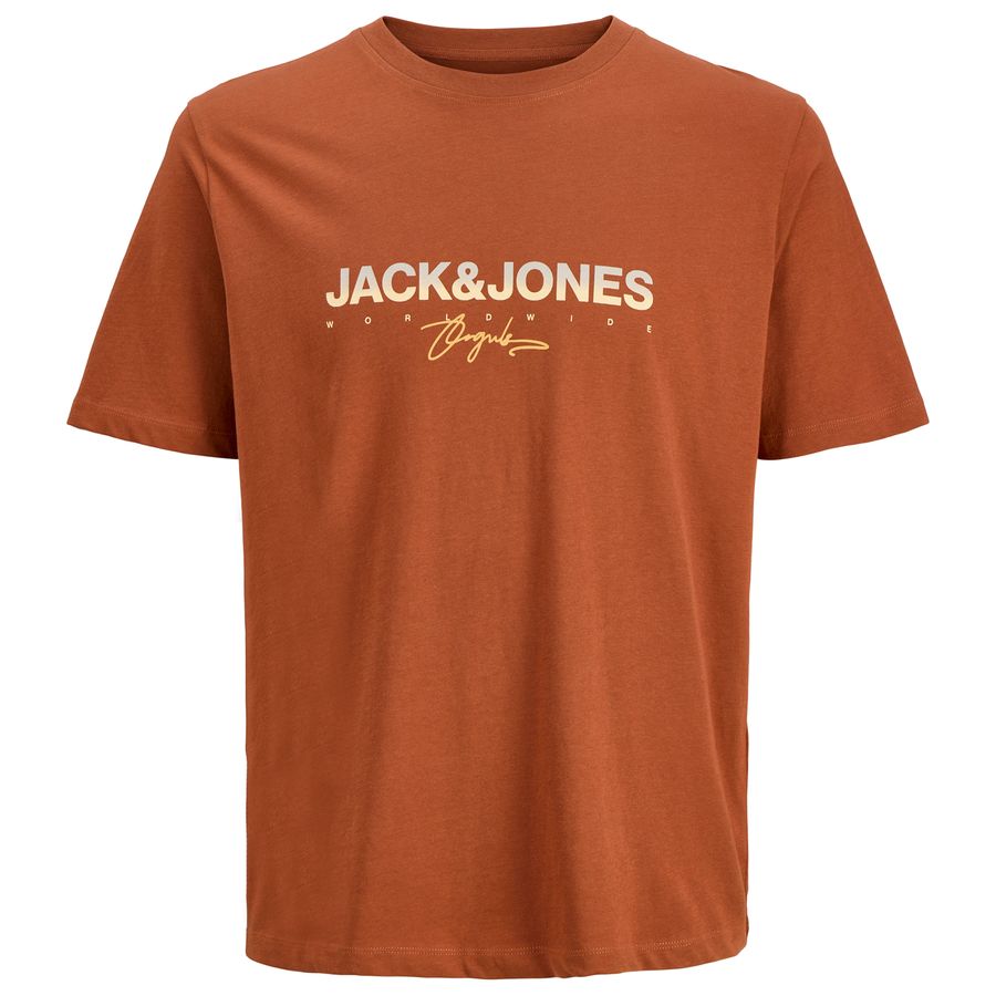 Jack&Jones Übergrößen T-Shirt rost Print JORCANGGU