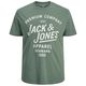Jack&Jones Übergrößen T-Shirt grün JPRBLUZANE Print