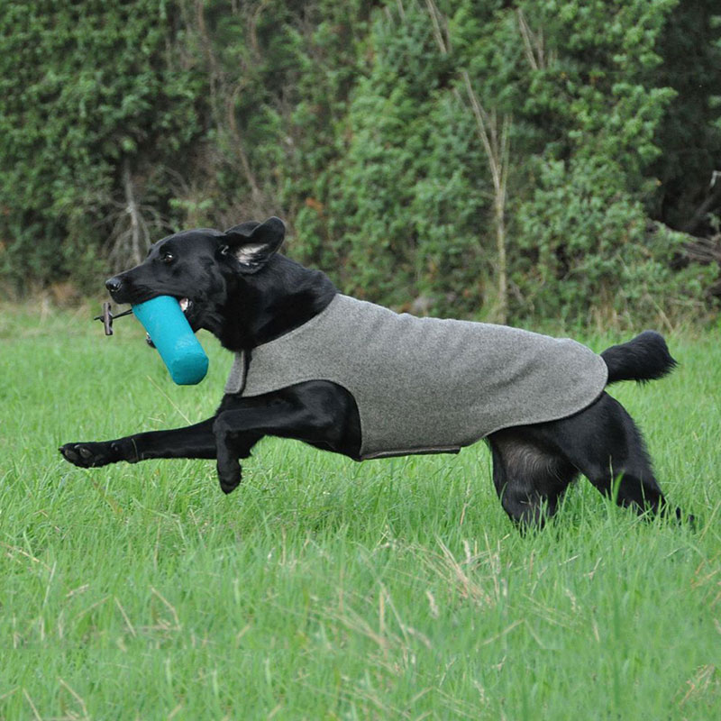 Hundemantel Loden